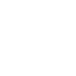 professional-sebastian